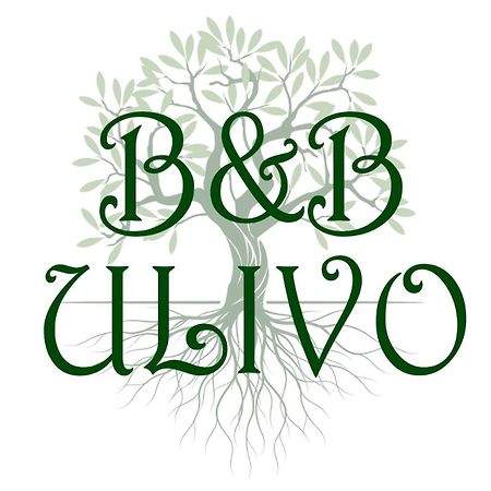Ulivo Bed & Breakfast Trapani Ngoại thất bức ảnh